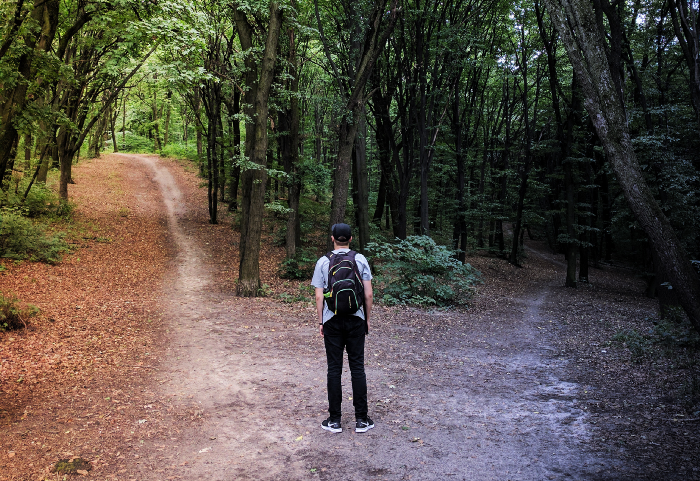 A man facing a fork in the path through a forest